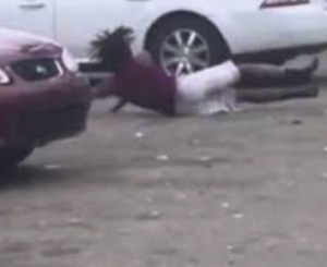 Zz1583521523screen Shot 2020 03 06 At 20406 Pmpng — every vine ever option 594