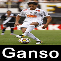 Zz1636079860gansojpg — Ex jogadores, Jogadores e Idolos do Santos FC option 38