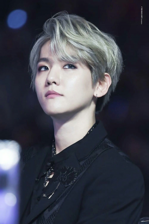 Baekhyunjpg — EXO-12 Members option 1