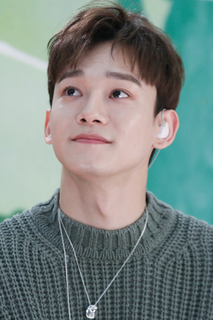 Chenjpg — EXO-12 Members option 3