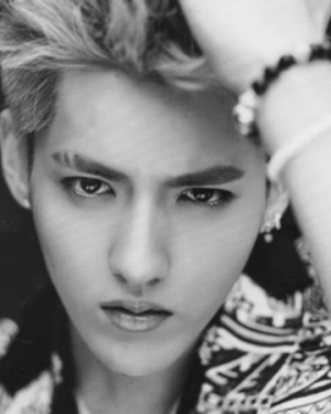 Krispng — EXO-12 Members option 6