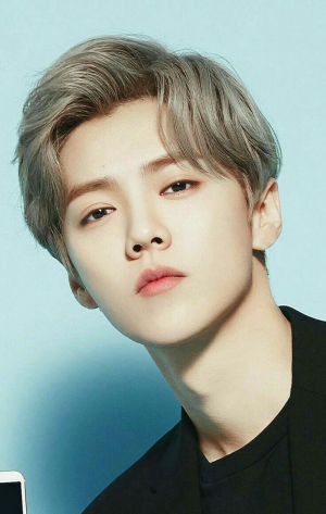 Luhanjpg — EXO-12 Members option 8