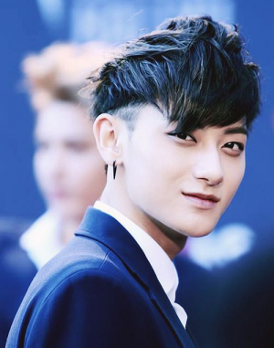 Taojpg — EXO-12 Members option 11