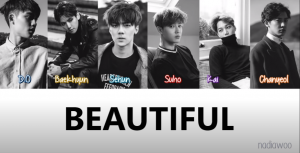 Beautifulpng — exo songs option 9