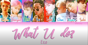 What U Dopng — exo songs option 110