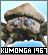 Iconkumonga 1967 2png — EXTENSIVE Godzilla, Toho, and Monsterverse Kaiju option 111