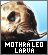 Iconmothra Leo Larvapng — EXTENSIVE Godzilla, Toho, and Monsterverse Kaiju option 147