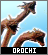 Iconorochipng — EXTENSIVE Godzilla, Toho, and Monsterverse Kaiju option 153