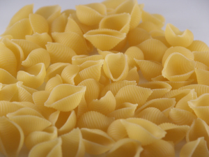 Pasta Conchiglie1024x768jpg — Extensive Pasta Shapes option 12
