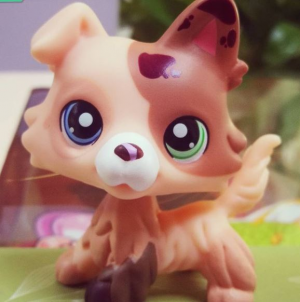 16jpg — Fake "Custom" LPS option 7