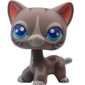 17jpg — Fake "Custom" LPS option 8