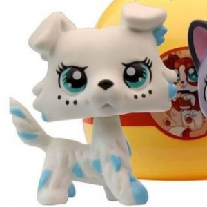 19jpg — Fake "Custom" LPS option 10