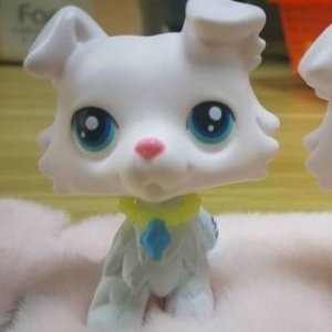 4jpg — Fake "Custom" LPS option 18