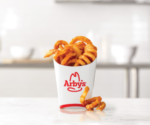 Arbyfriesjpg — Fast Food French Fries v2 option 1