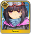 105px Iconservant262png — Fate Grand Order All Servants Tier List option 257
