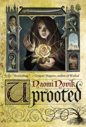 22544764jpg — Favorite /r/Fantasy books option 55