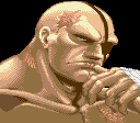 Sagatpng — Favorite Fighting Game Characters option 39