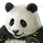 Zz1593972953pandapng — Favorite Fighting Game Characters option 93