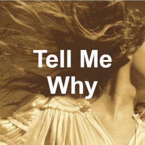 Tay 2png — Fearless (Taylor's Version) option 17