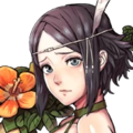 120px Portraitnoireshadeseekerfehpng — FEH Units (06/29/2020) option 384