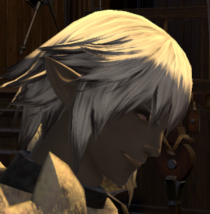Ffxivfoulquespng — FFXIV waifu list (gender neutral) option 19