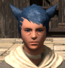Ffxivshbkai Shirrpng — FFXIV waifu list (gender neutral) option 36