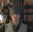 Ffxivshblue Reeqpng — FFXIV waifu list (gender neutral) option 37