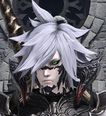 Ffxivsidurgupng — FFXIV waifu list (gender neutral) option 40