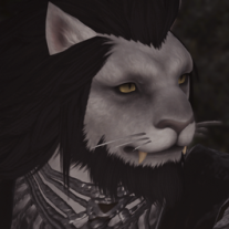 Tumblrpvep3jqqlz1yrd4gxo2500png — FFXIV waifu list (gender neutral) option 56