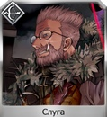 42rkvwdbgrwjpg — FGO all servants option 17