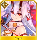 Dk4nubhom0jpg — FGO all servants option 70