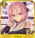 H4vw81ewcl8jpg — FGO all servants option 88