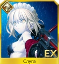 Lea9hgtnokwjpg — FGO all servants option 119