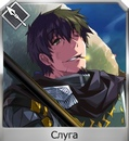 N85hkjfsdzgjpg — FGO all servants option 135