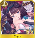 O3pwdkvapmgjpg — FGO all servants option 148