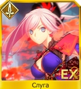 Thcqg45b6cujpg — FGO all servants option 193
