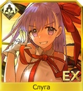 Tmdzqc5ohb8jpg — FGO all servants option 196