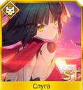 X8bglebnxfcjpg — FGO all servants option 224