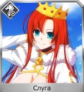 Xgx6l9s6i4cjpg — FGO all servants option 228