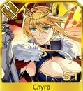 Xhn51aag3kjpg — FGO all servants option 229