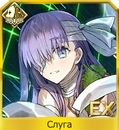 Y99dzauvopmjpg — FGO all servants option 239