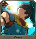 Zmjq2gcu74jpg — FGO all servants option 259