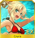 Zqqg1w9ot Mjpg — FGO all servants option 260