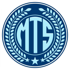 Mtsjpg — FIFA Designers option 31
