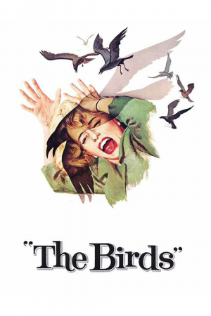 Zzzzz 1752526931the Birds 1963 — Filme am Wheel option 535