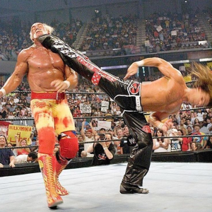 4a3458d3 016f 49da 87eb F85e6eacfe8bjpeg — Finishers wwe option 13