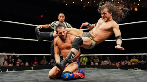 550936db Ee59 4d91 9988 93248b352c7ajpeg — Finishers wwe option 16