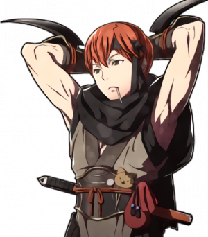 Greyportraitpng — Fire Emblem Fates Characters option 25