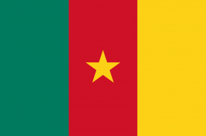 Cameroonpng — Flags of All Countries (Recognised or not) option 33
