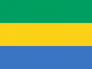 Gabonpng — Flags of All Countries (Recognised or not) option 65